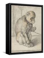 A Seated Monkey on a Chain, 1592-1602-Hendrik Goltzius-Framed Stretched Canvas