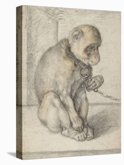 A Seated Monkey on a Chain, 1592-1602-Hendrik Goltzius-Stretched Canvas