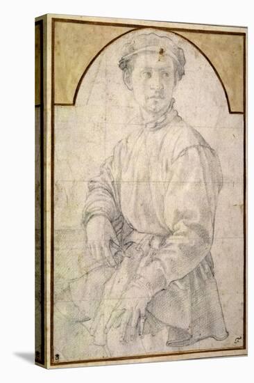 A Seated Youth Wearing a Cap-Jacopo da Carucci Pontormo-Stretched Canvas