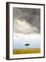 A Secluded Acacia Tree Against The Spectacular Sky In The Maasai Mara, Kenya-Axel Brunst-Framed Photographic Print