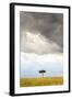 A Secluded Acacia Tree Against The Spectacular Sky In The Maasai Mara, Kenya-Axel Brunst-Framed Photographic Print