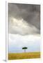 A Secluded Acacia Tree Against The Spectacular Sky In The Maasai Mara, Kenya-Axel Brunst-Framed Photographic Print