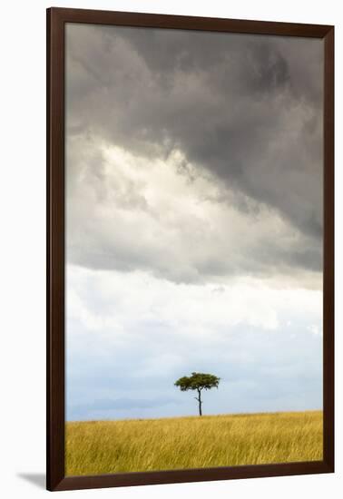 A Secluded Acacia Tree Against The Spectacular Sky In The Maasai Mara, Kenya-Axel Brunst-Framed Photographic Print