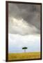 A Secluded Acacia Tree Against The Spectacular Sky In The Maasai Mara, Kenya-Axel Brunst-Framed Photographic Print