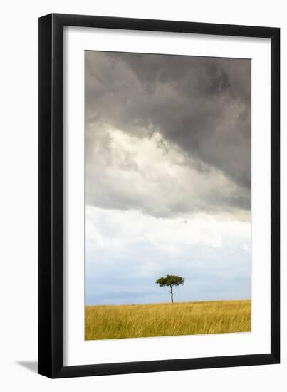 A Secluded Acacia Tree Against The Spectacular Sky In The Maasai Mara, Kenya-Axel Brunst-Framed Photographic Print