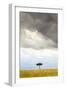 A Secluded Acacia Tree Against The Spectacular Sky In The Maasai Mara, Kenya-Axel Brunst-Framed Photographic Print