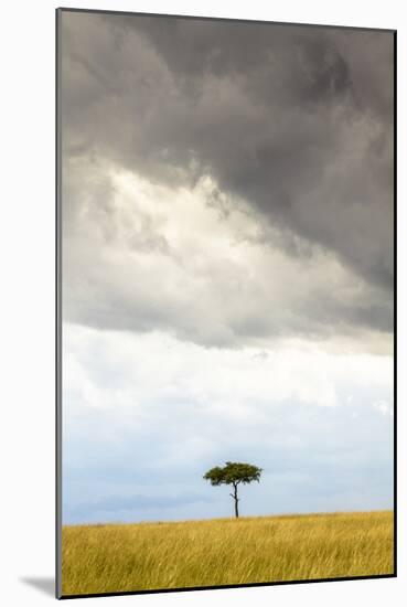 A Secluded Acacia Tree Against The Spectacular Sky In The Maasai Mara, Kenya-Axel Brunst-Mounted Photographic Print