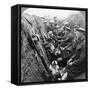 A Section of Seaforth Highlanders Snatching a Moments Respite, World War I, C1914-C1918-null-Framed Stretched Canvas