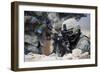 A Security Forces Airman Provides Cover for His Squad-null-Framed Photographic Print