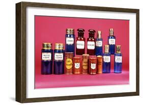 A Selection of 19th Century Drug Containers-null-Framed Giclee Print