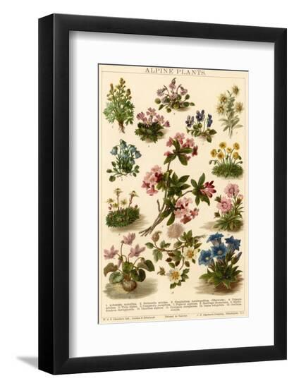 Photographic Print, , large