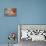 A Selection of Beatles Memorabilia, 1960s-null-Stretched Canvas displayed on a wall
