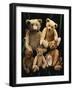 A Selection of Bing Teddy Bears, circa 1910-null-Framed Giclee Print