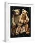 A Selection of Bing Teddy Bears, circa 1910-null-Framed Giclee Print