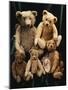 A Selection of Bing Teddy Bears, circa 1910-null-Mounted Giclee Print