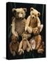 A Selection of Bing Teddy Bears, circa 1910-null-Stretched Canvas