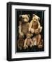 A Selection of Bing Teddy Bears, circa 1910-null-Framed Giclee Print