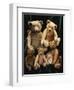 A Selection of Bing Teddy Bears, circa 1910-null-Framed Giclee Print