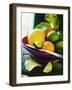 A Selection of Citrus Fruits in a Bowl-null-Framed Photographic Print