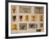 A Selection of Designs from the House of Faberge Including Bowls Goblets Cups and Tumblers-null-Framed Giclee Print