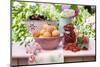 A Selection of Fruit on a Table in a Garden-Eising Studio - Food Photo and Video-Mounted Photographic Print