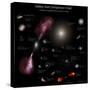 A Selection of Galaxies Shown to the Same Scale-null-Stretched Canvas