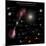 A Selection of Galaxies Shown to the Same Scale-null-Mounted Photographic Print