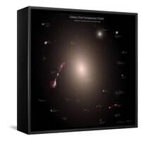 A Selection of Galaxies Shown to the Same Scale-null-Framed Stretched Canvas