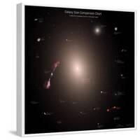 A Selection of Galaxies Shown to the Same Scale-null-Framed Photographic Print