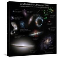 A Selection of Galaxies Smaller Than the Milky Way Shown to the Same Scale-null-Stretched Canvas