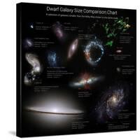 A Selection of Galaxies Smaller Than the Milky Way Shown to the Same Scale-null-Stretched Canvas