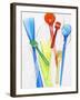 A Selection of Plastic Ice Cream Spoons-Marc O^ Finley-Framed Photographic Print