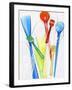 A Selection of Plastic Ice Cream Spoons-Marc O^ Finley-Framed Photographic Print