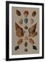 A Selection of Seashells, 1758-Henry Thomas Alken-Framed Giclee Print