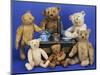 A Selection of Teddy Bears around a Black Painted Tinplate Toy Stove-null-Mounted Giclee Print