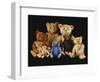 A Selection of Teddy Bears-null-Framed Giclee Print