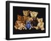 A Selection of Teddy Bears-null-Framed Giclee Print