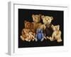 A Selection of Teddy Bears-null-Framed Giclee Print