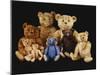 A Selection of Teddy Bears-null-Mounted Giclee Print