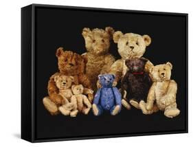 A Selection of Teddy Bears-null-Framed Stretched Canvas