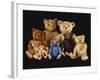 A Selection of Teddy Bears-null-Framed Giclee Print