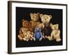 A Selection of Teddy Bears-null-Framed Giclee Print