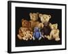 A Selection of Teddy Bears-null-Framed Giclee Print