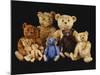 A Selection of Teddy Bears-null-Mounted Giclee Print