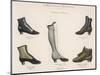 A Selection of Victorian Shoes and Boots for Men and Women-null-Mounted Art Print