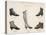 A Selection of Victorian Shoes and Boots for Men and Women-null-Stretched Canvas