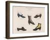 A Selection of Victorian Shoes and Boots for Men and Women-null-Framed Art Print