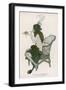 A Semi-Naked Lady Enjoys the Scent of a Rose from a Champagne Glass: La Coupe Embaumee-null-Framed Art Print