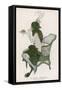 A Semi-Naked Lady Enjoys the Scent of a Rose from a Champagne Glass: La Coupe Embaumee-null-Framed Stretched Canvas