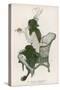 A Semi-Naked Lady Enjoys the Scent of a Rose from a Champagne Glass: La Coupe Embaumee-null-Stretched Canvas